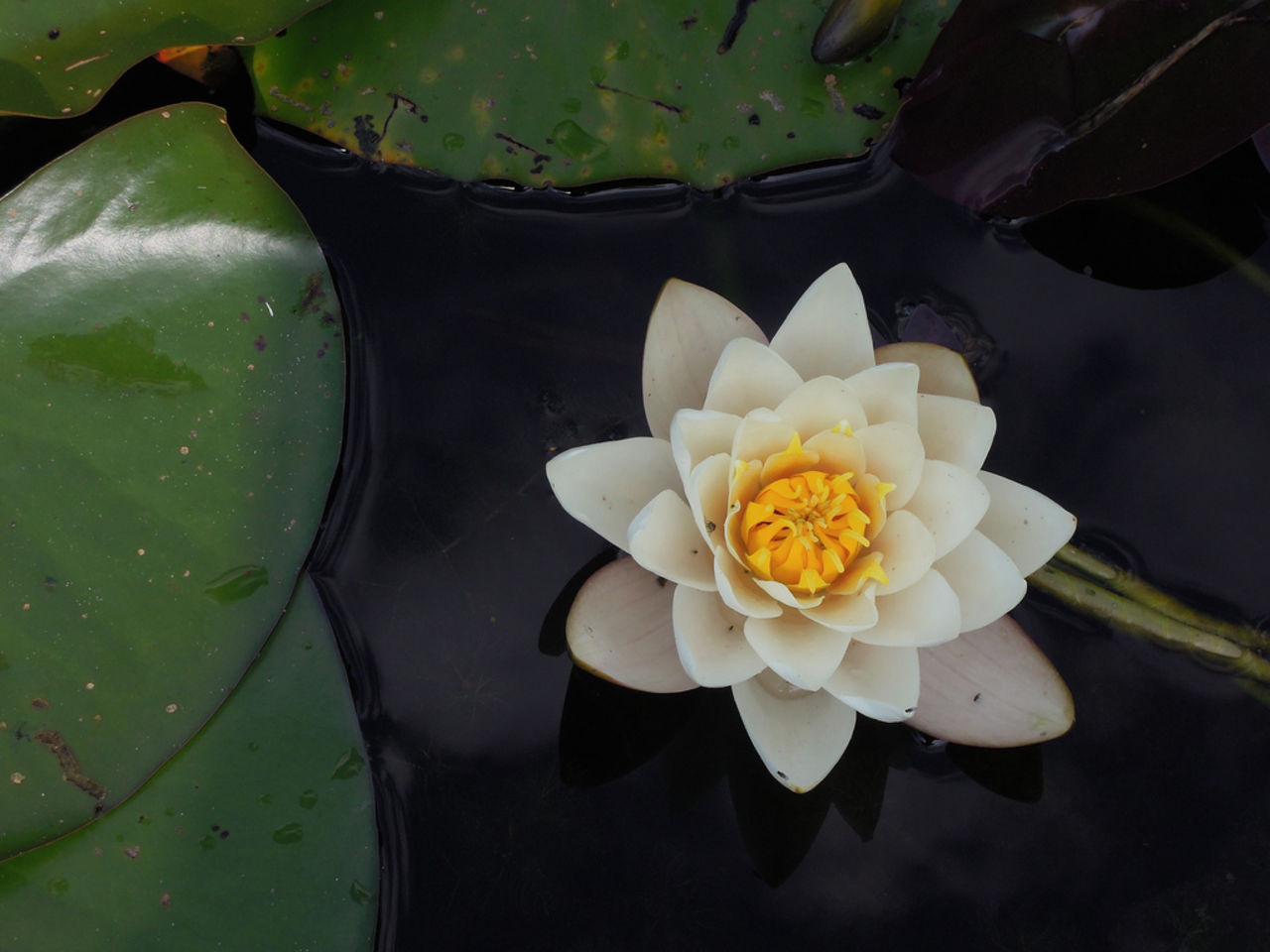 6939300294_5018cfe073_b