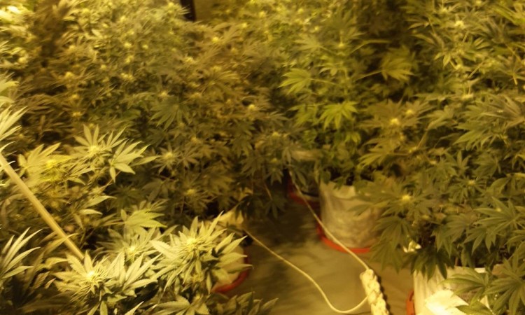 SIPA otkrila laboratoriju za proizvodnju droge u Visokom