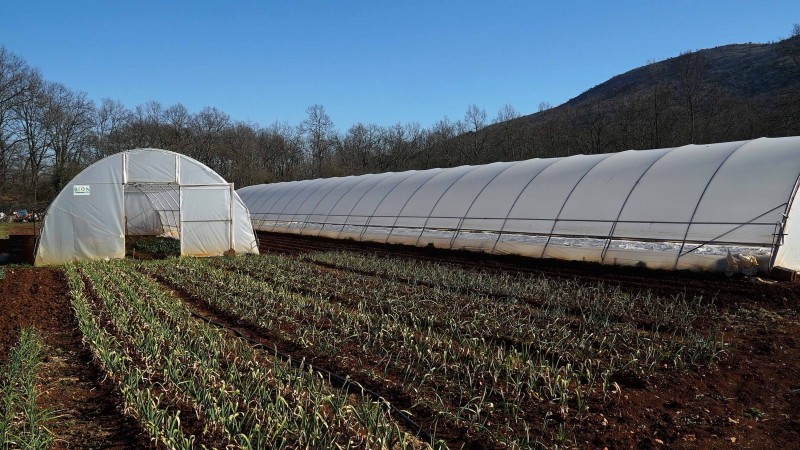 Domaća roba ide u bescjenje, a bh. kupci radije kupuju uvozne proizvode