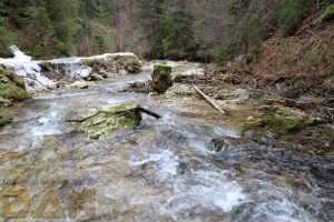 Aktivisti širom BiH - Rijeke su zajedničko dobro svih građana