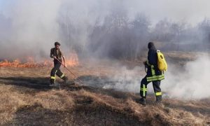 Vatrogasci ugasili požar koji je ugrozio azil s 40-ak napuštenih pasa