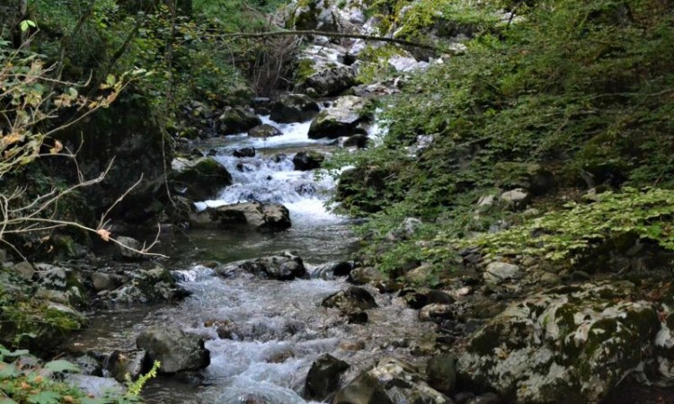 Koalicija za zaštitu rijeka BiH - Zaustaviti daljnju gradnju malih hidrocentrala