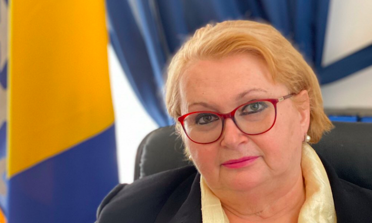 Turković: Nije predloženo ukidanje viznog režima za SA, već privremena suspenzija