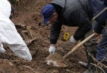 Ekshumacija u Donjem Vakufu: Ekshumirani nekompletni posmrtni ostaci jedne osobe