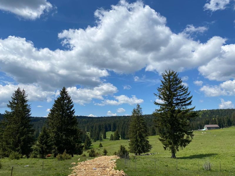 Danas pretežno oblačno, poslijepodne razvedravanje