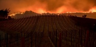 Požar Dixie postao drugi najveći u historiji Kalifornije