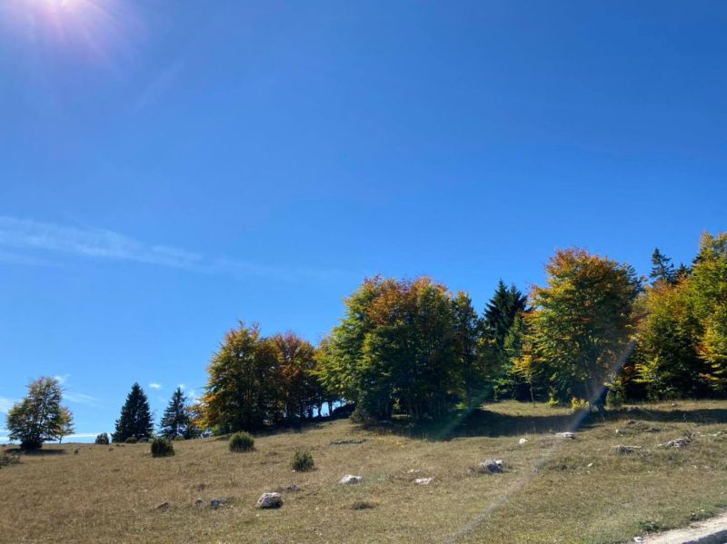 U BiH jutros pretežno vedro, magla po kotlinama Bosne