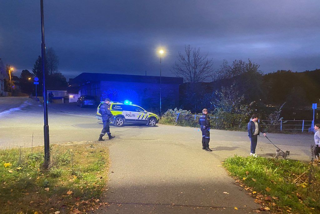 U napadu lukom i strijelom u Norveškoj pet mrtvih i dvoje ozlijeđenih