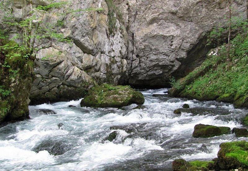 Izvori rijeke Sane proglašeni Spomenikom prirode