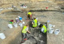 Skeleti pet mamuta iz ledenog doba pronađeni u Cotswoldsu