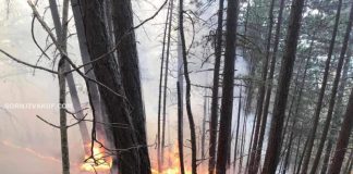 Veliki požar guta borovu šumu kod Gornjeg Vakufa, angažovane Oružane snage BiH