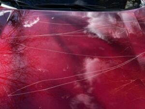 U Banja Luci uništeni automobili novinara Trifunovića i Morače