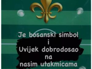 Zvjezdan Misimović o ljiljanima: Uvijek je dobrodošao na utakmicama!