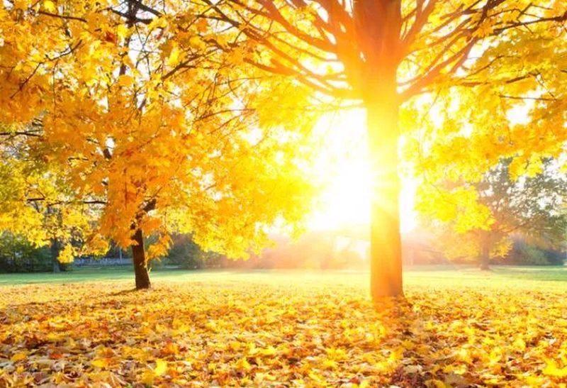 U BiH sunčano vrijeme i vikend stabilan bez padavina