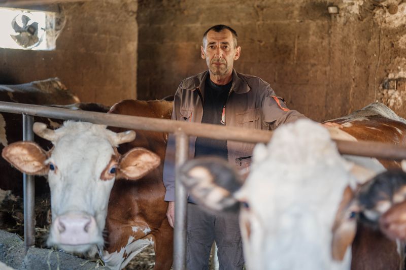 Farmer Ibrahim Mulaomerović primjer je da se od mljekarstva može lijepo živjeti