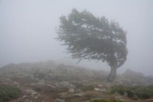 Olujni udari vjetra, pljuskovi i grmljavina upalili narandžasti meteoalarm