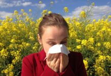 Nagli pad polena alergenih biljaka u zraku