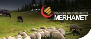 Počela 'Merhametova' akcija: Kurbani u BiH, Mekki i Australiji