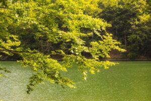 Tropska subota je pred nama, temperature do 38 stepeni Celzijusa