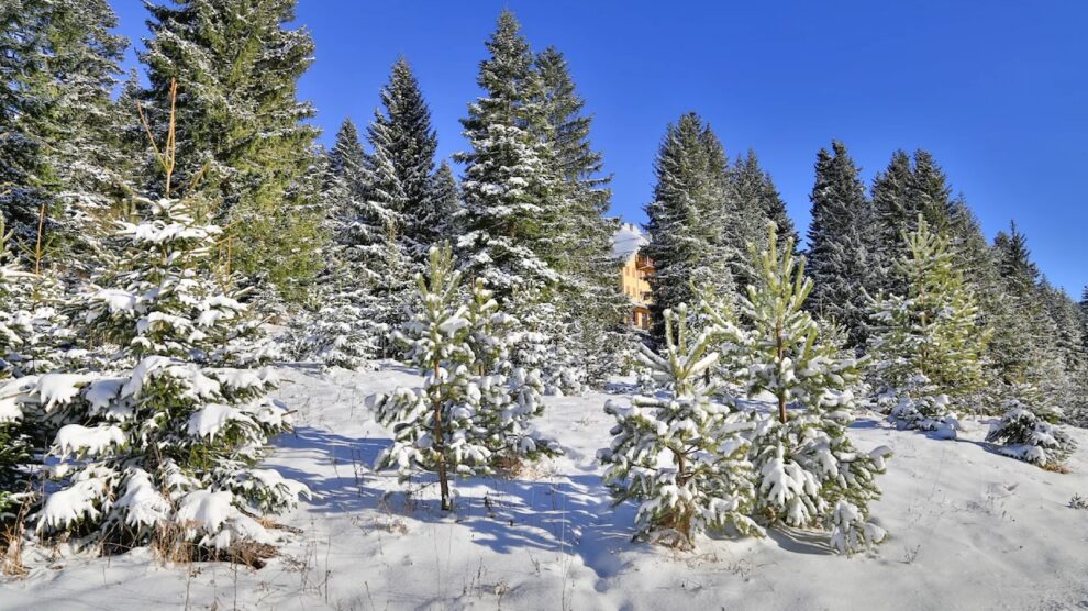 U BiH danas malo do umjereno oblačno i sunčano vrijeme