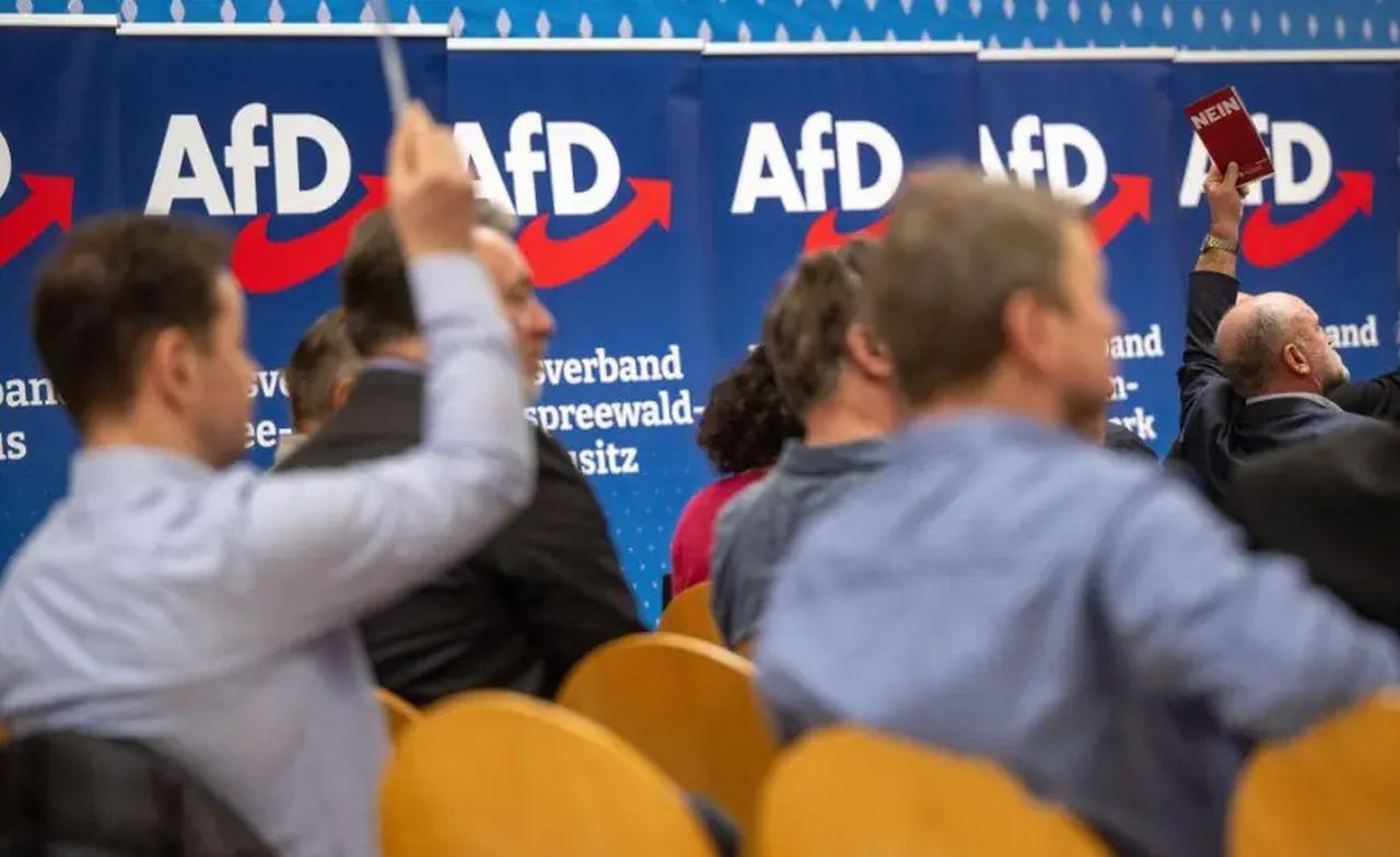 AfD