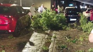 Olujno nevrijeme pogodilo Mostar, uništeni automobili, vjetar obarao drveće
